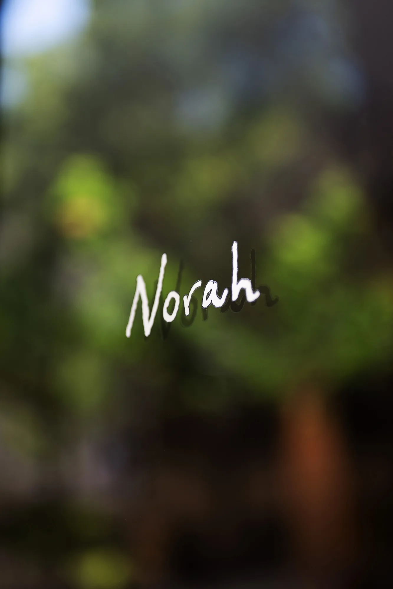 Norah Ansón+Bonet
